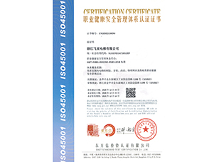 職業(yè)健康安全管理體系證書